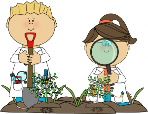 science-kids-examining-plants